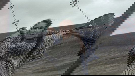 Dýrið