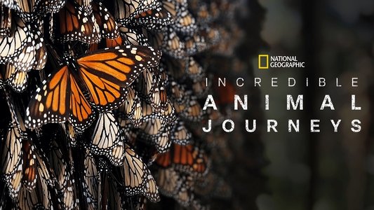 Incredible Animal Journeys