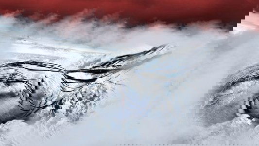 100 Degrees Below Zero
