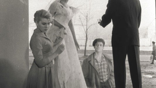 Цветок на камне