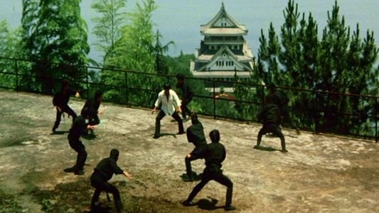 武闘拳　猛虎激殺！