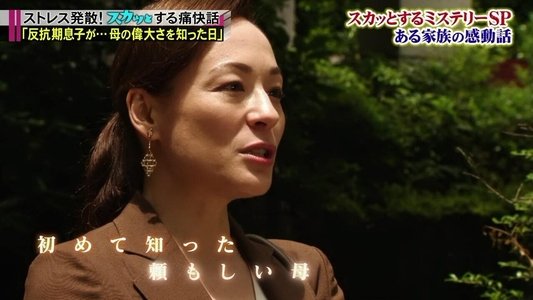痛快ＴＶ スカッとジャパン