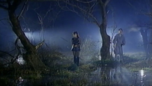 ザ・忍者ウォリア－ズ　くノ一戦士