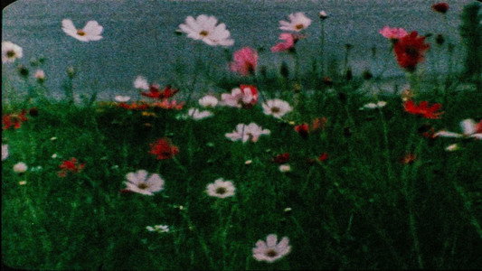 Reminiscences of a Journey to Lithuania