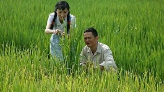 袁隆平