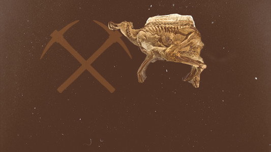 Secrets of the Dinosaur Mummy