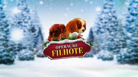 Project: Puppies for Christmas