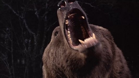 Grizzly