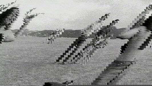 Ngā Tamatoa: 40 Years On