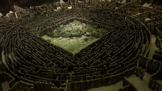 The Maze Runner