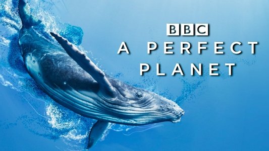 A Perfect Planet