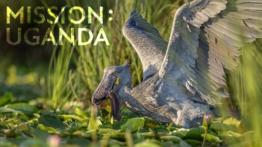 Mission: Uganda