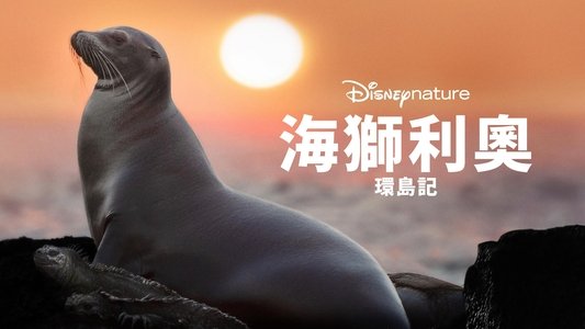 Sea Lions of the Galapagos