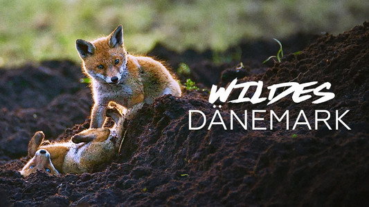 Vilde vidunderlige Danmark