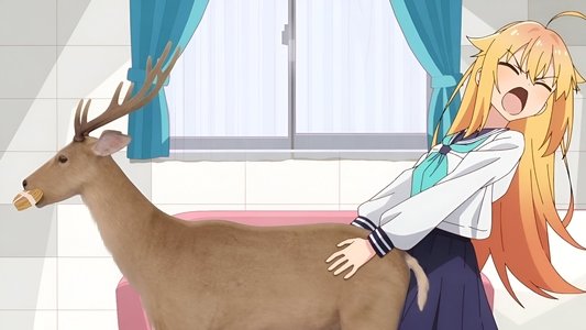 しかのこのこのここしたんたん