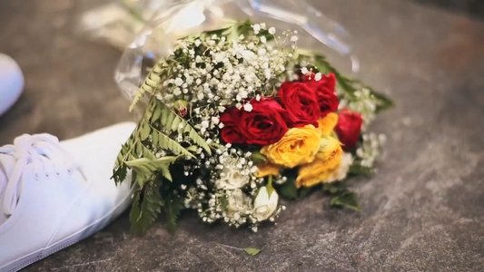 The Man Who Loved Flowers