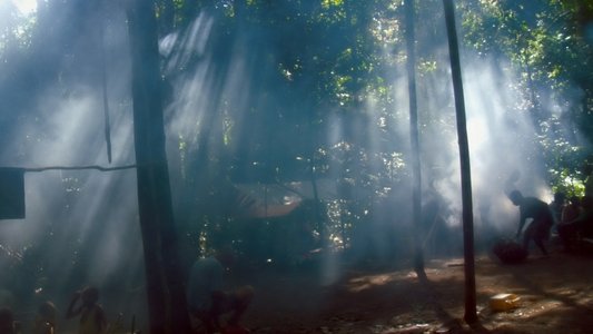 Song from the Forest