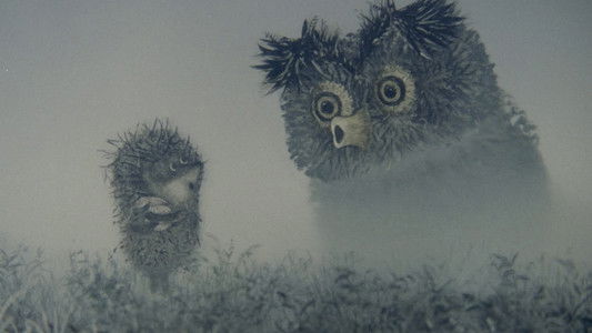 Ёжик в тумане