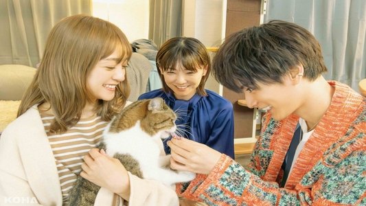 三日月とネコ
