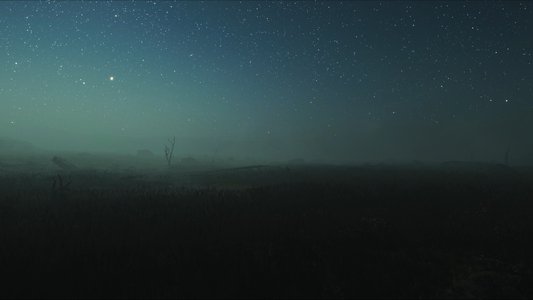 The Overview