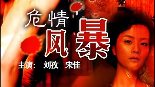 危情风暴