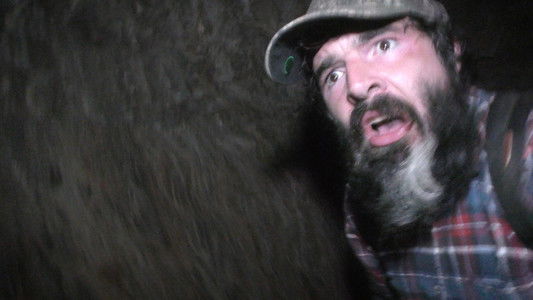 The Wilderness Tapes: Volume One