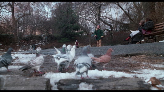 Home Alone 2: Lost in New York