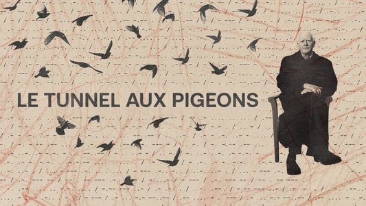 The Pigeon Tunnel