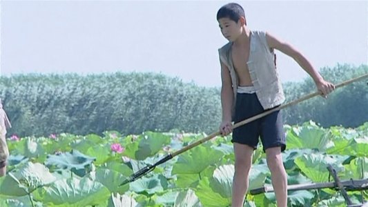 小兵张嘎