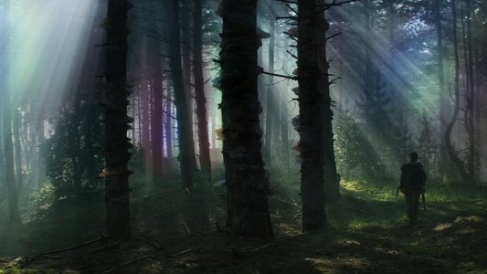 Annihilation