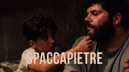 Spaccapietre