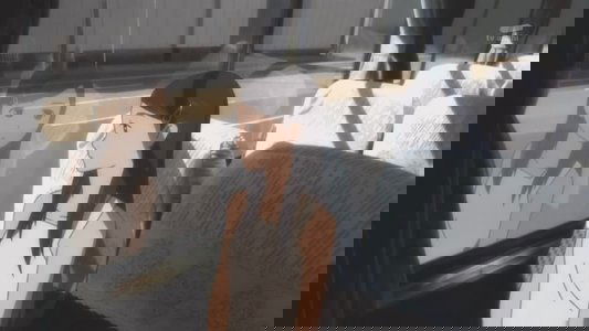 魔法使いの嫁