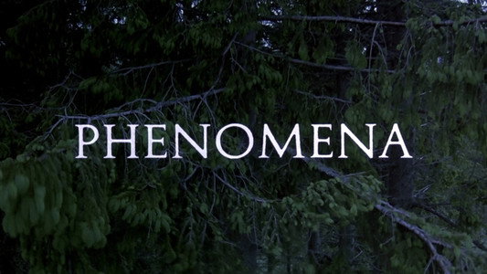 Phenomena