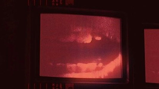 Archive 81