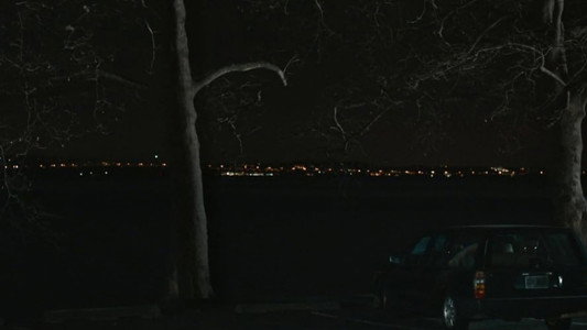The Skeleton Twins