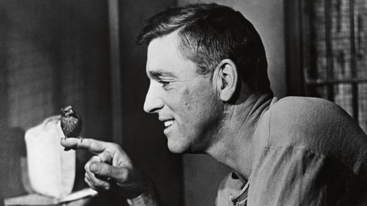 Birdman of Alcatraz