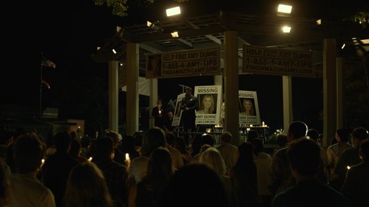 Gone Girl