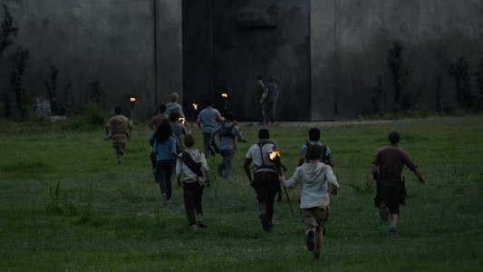 The Maze Runner