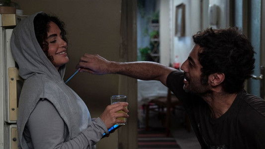 گوزن های اتوبان