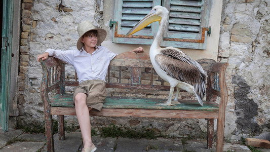 The Durrells