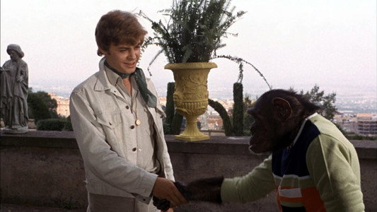 Il marito è mio e l'ammazzo quando mi pare