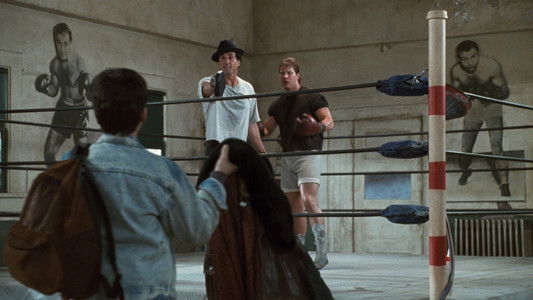 Rocky V
