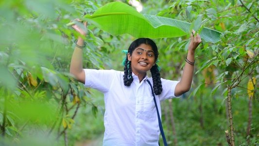 இலை
