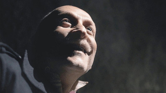 Voldemort: Origins of the Heir