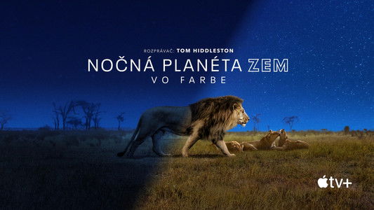 Earth at Night in Colour