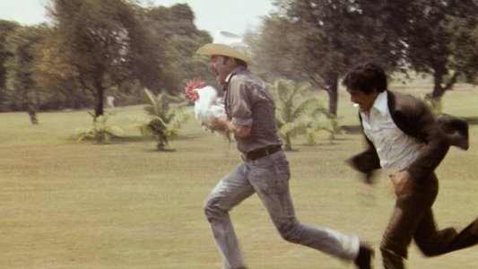 Supercock