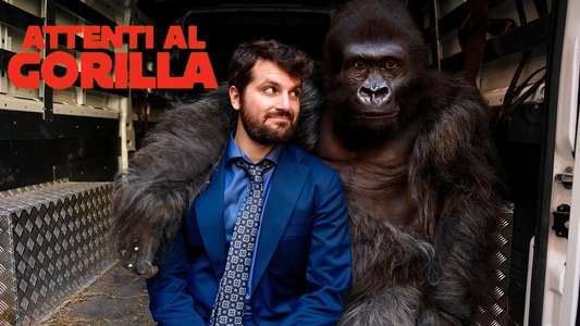 Attenti al gorilla