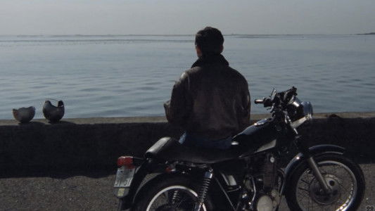 痴漢電車人妻篇　奥様は痴女