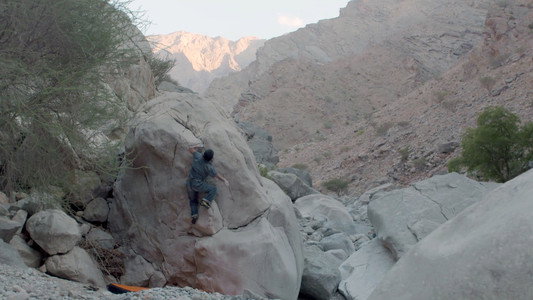 Valley Of Giants