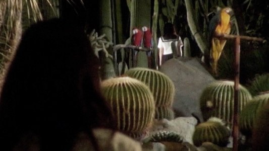 紀子の食卓